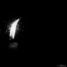 [Night. Shadows aloud} / ***