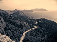 Road / ***