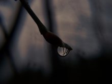 Farewell to Autumn ... / ***