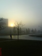 Fog / ***