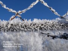 Kristaliki ice / ***