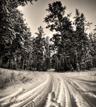 The road in the winter ... / ***