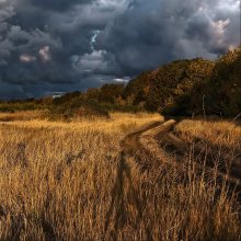 Shadow on the storm / ***