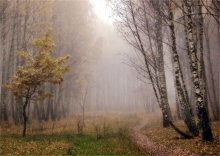 Autumn mists / ..........