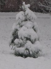 Frozen herringbone / ***