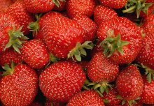 strawberry / ***