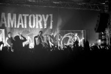 Amatory / ***