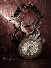 Time to go back / ***