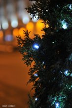 New Year / ...........