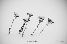 Keep together! / ***