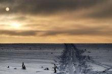 Winter Morning / ------