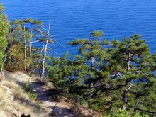 road to the sea) / ***