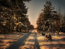 Winter road / -------