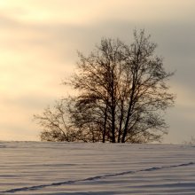 About winter morning / -----