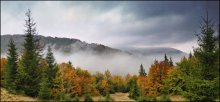 Autumn in the clouds / ***