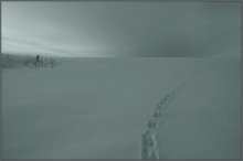 Winter desert landscape ... 3 / ***