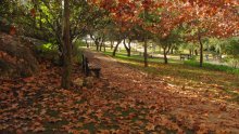 walking ... / ***