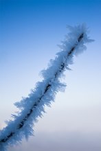 cold ... / ........