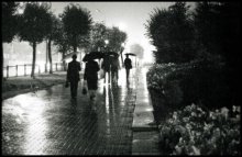A series of &quot;Rainy&quot; / *****