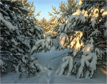 Snow / ......