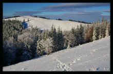 bald areas of the mountains / ***