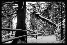 on the way to a fairy tale / ***