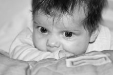 Beauty's Daughter / ***