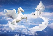 Pegasus / ******