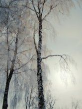 morning chill / _____