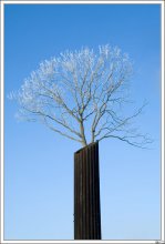 Cemetery bouquet / =====