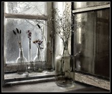 Dried flowers in the window / ..._______