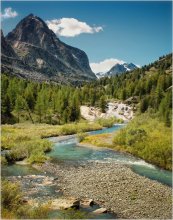 Altai landscape / ***