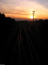 the road to a dream / ***
