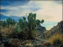 tales Limonov mountains / Lemon Mountain, Tuscon, Arizona, USA