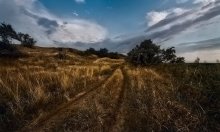 Steppe peyzazh.Pered dawn / ***