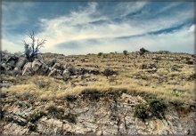 walking on the mountains Limonov ..2 / Limon Mountain, Arizona