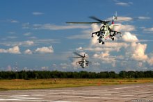 Crocodiles, forward! / ***