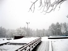 Snowy Park / ***