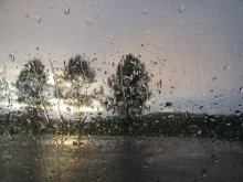 Rain / ***
