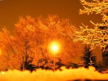 First snow in the city / ***