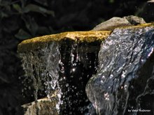 Fountain / ***