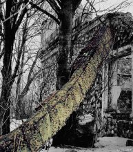 Track in the sky? / ***