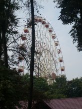 Ferris wheel / ***