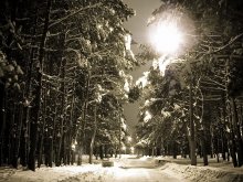 Winter Park at night ... / ***
