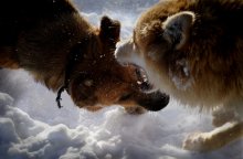 war for territory ... / ***