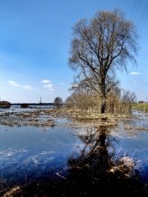 flood / ..........