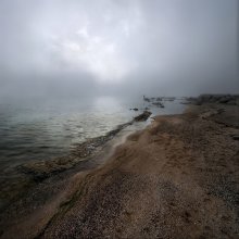 Foggy Beach / ***