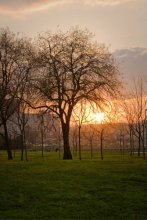 Sunset / ***