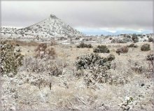 White Mexican desert mirages / ***