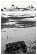 Thawed / ***